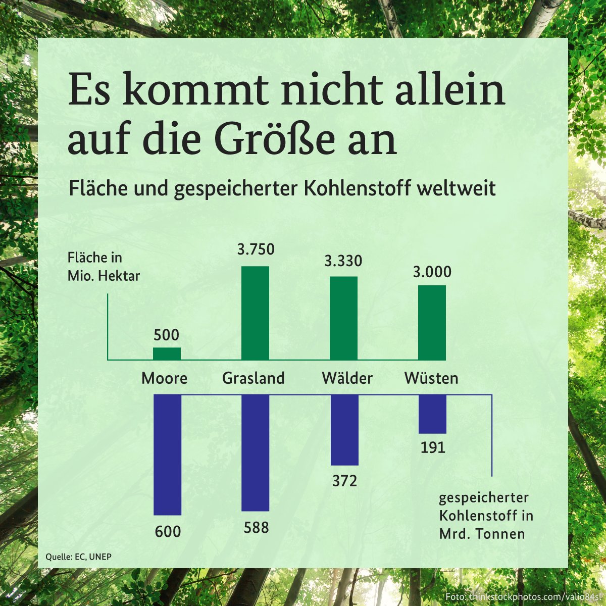 Infografik: Es kommt nicht auf die Größe an. Fläche und gespeicherter Kohlenstoff weltweit. Moore: Fläche 500 Millionen Hektar bei 600 Milliarden Tonnen gespeichertem Kohlenstoff; Grasland: Fläche 3.750 Millionen Hektar bei 588 Milliarden Tonnen gespeichertem Kohlenstoff; Wälder: Fläche 3.330 Millionen Hektar bei 372 Milliarden Tonnen gespeichertem Kohlenstoff; Wüsten: Fläche 3.000 Millionen Hektar bei 191 Milliarden Tonnen gespeichertem Kohlenstoff;