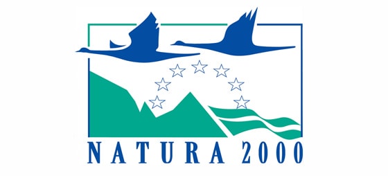 Grafik zwei Vögel über den europäischen Sternen, mit Bergen als Hintergrund und dem Schriftzug Natura 2000