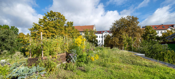 Wiese und Garten mit Haus im Hintergrund