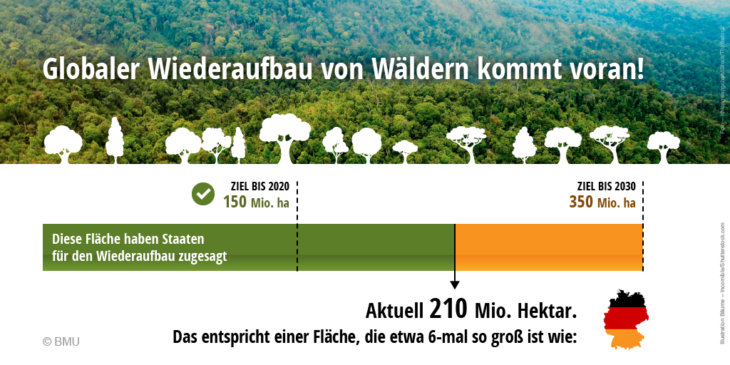 Globaler Wiederaufbau von Wäldern kommt voran! Die Infografik zeigt einen Balken, der die Fläche des Wiederaufbau wiedergibt. Vereinbart waren bis 2020 150 Millionen Hektar Wald. Dieses Ziel wurde 2020 übertroffen. Aktuell wurden 210 Millionen Hektar Wald weltweit wieder aufgebaut. Das entspricht einer Fläche, die sechsmal so groß ist wie Deutschland. Bis zum Jahr 2030 sollen es 350 Millionen Hektar Wald werden.
