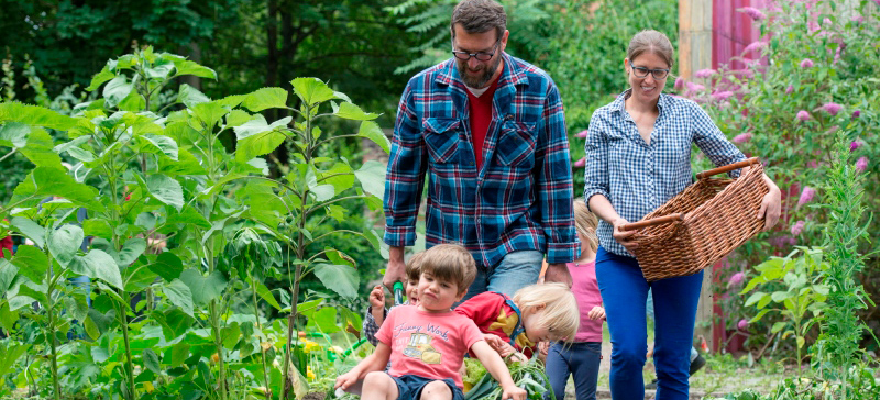 Stadtnatur in Kitas und Schulen BMUV
