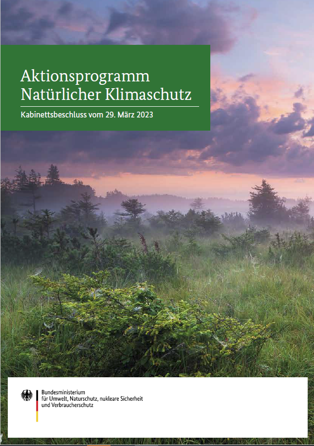 Titelseite: Waldlandschaft im Sonnenuntergang