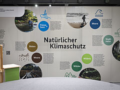 Das BMUV ist bei der Internationalen Grünen Woche mit einem eigenen Stand vertreten. Schwerpunktthema dieses Jahr: Natürlicher Klimaschutz