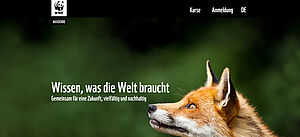 Ein Fuchs schaut den Claim "Wissen, was die Welt braucht – Gemeinsam für eine Zukunft, vielfältig und nachhaltig" an