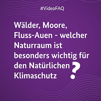 Ein lilanes Bild auf dem die Frage "Wälder, Moore, Fluss-Auen - welcher Naturraum ist besonders wichtig für den Natürlichen Klimaschutz?" steht.