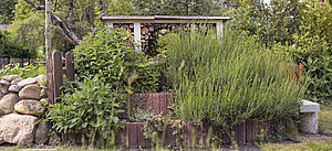 Kräutergarten und Holzstapel für Insekten
