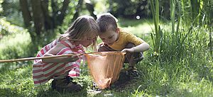 Kinder untersuchen das Leben am Teich