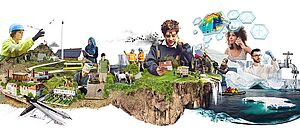 Collage mit Menschen während ihrer Arbeit