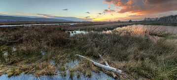 Moorlandschaft im Sonnenuntergang