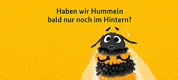 Kampagne "Wir schützen Insekten"