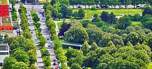 Stadtviertel mit viel sonniger Grünfläche aus Vogelperspektive