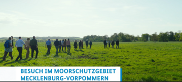 Gruppe läuft durch Moorschutzgebiet