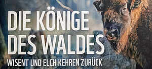 Lehrkräftehandreichung: Die Könige des Waldes – Wisent und Elch kehren zurück