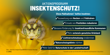Inhalt der Infografik wird in der Beschreibung erläutert. Weitere Informationen siehe Bildunterschrift