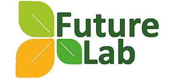 Logo Future Lab