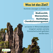 Was ist das Ziel?  Konkrete Lösungen zu finden, wie  Biodiveristät,   Meereschutz und  Nachhaltiges Chemikalienmagament  am besten in Wirtschaftsabläufe integriert werden und eine Kreislaufwirtschaft gefördert werden kann. 