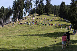 07.08.2024,   Germany. Hauptalmbegehung mit Bundesumweltministerin Steffi Lemke. Oberammergau.