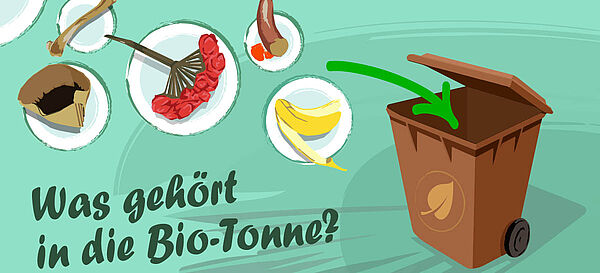 BMUV Das gehört in die Biotonne