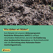 Infografik