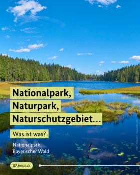 Nationalpark Bayerischer Wald