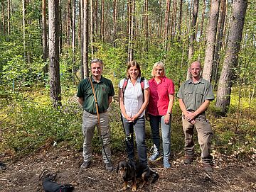 Die Parlamentarischen Staatsekretärinnen Dr. Manuela Rottmann (BMEL, Mitte links) und Dr. Bettina Hoffmann (BMUV, Mitte rechts) auf Exkursion im brandenburgischen Forstbetrieb von Mathias Graf von Schwerin (links).. Weitere Informationen siehe Bildunterschrift