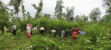 Nachhaltige Bewirtschaftungsmodelle in Padampur, Nepal