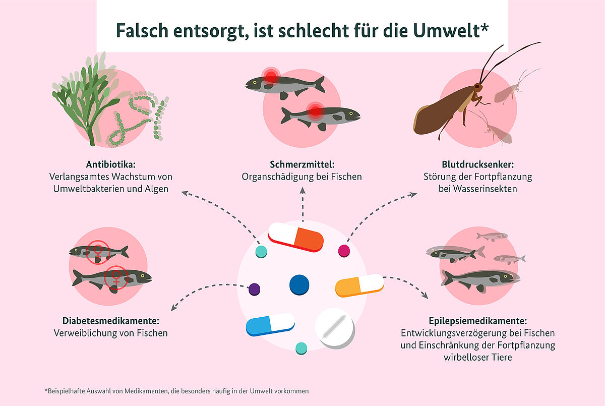 Illustration, wie fünf beispielhafte Medikamente negativ auf Tiere wirken können. Falsch entsorgt, ist schlecht für die Umwelt (es folgt eine beispielhafte Auswahl von Medikamenten, die besonders häufig in der Umwelt vorkommen): 1. Antibiotika (verlangsamtes Wachstum von Umweltbakterien und Algen), 2. Schmerzmittel (Organschädigung bei Fischen), 3. Blutdrucksenker (Störung der Fortpflanzung bei Wasserinsekten), 4. Diabetesmedikamente (Verweiblichung von Fischen), 5. Epilepsiemedikamente (Entwicklungsverzögerung bei Fischen und Einschränkung der Fortpflanzung wirbelloser Tiere)