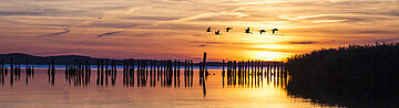 Jasmunder Bodden im Sonnenuntergang