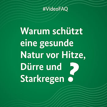 Ein grünes Bild auf dem die Frage "Warum schützt eine gesunde Natur vor Hitze, Dürre und Starkregen?" steht.