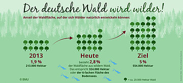 Der deutsche Wald wird wilder! Der Anteil der Waldfläche, auf der sich Wälder natürlich entwickeln können, steigt: 2013: 1, 9 Prozent mit 213.000 Hektar; Heute besteht 2,8 Prozent der Waldfläche aus wildem Wald. Das entspricht 324.000 Hektar oder der 6-fachen Fläche des Bodensees. Ziel: 5 Prozent mit 554.000 Hektar.. Weitere Informationen siehe Bildunterschrift