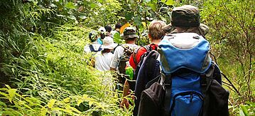 Kinder wandern durch den Wald