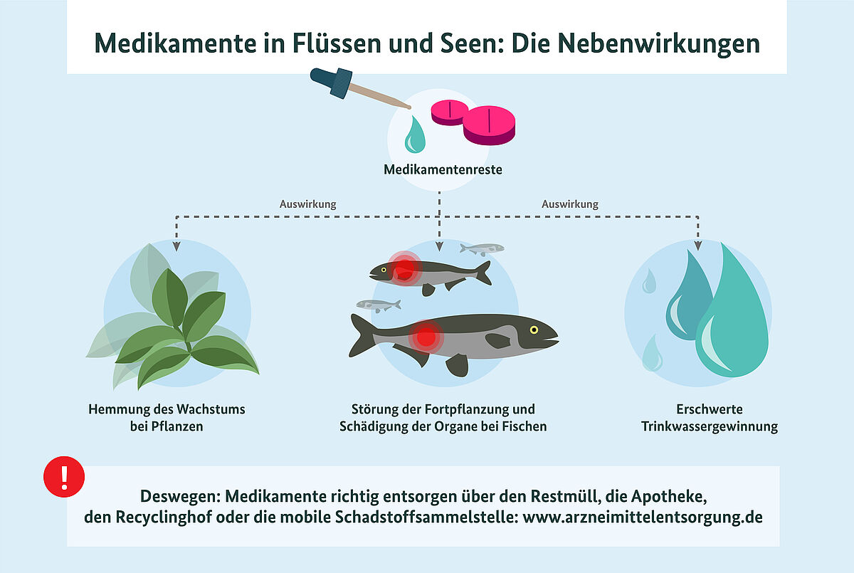Die Illustration verdeutlicht, dass sich Medikamentenreste auf drei Faktoren auswirken: 1. Hemmung des Wachstums bei Pflanzen, 2. Störung der Fortpflanzung und Schädigung der Organe bei Fischen, 3. Erschwerte Trinkwassergewinnung. Deswegen: Medikamente richtig entsorgen über den Restmüll, die Apotheke, den Recyclinghof oder die mobile Schadstoffsammelstelle: www.arzneimittelentsorgung.de