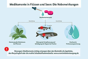 Die Illustration verdeutlicht, dass sich Medikamentenreste auf drei Faktoren auswirken: 1. Hemmung des Wachstums bei Pflanzen, 2. Störung der Fortpflanzung und Schädigung der Organe bei Fischen, 3. Erschwerte Trinkwassergewinnung. Deswegen: Medikamente richtig entsorgen über den Restmüll, die Apotheke, den Recyclinghof oder die mobile Schadstoffsammelstelle: www.arzneimittelentsorgung.de. Weitere Informationen siehe Bildunterschrift