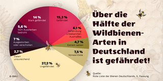 Inhalt der Infografik wird in der Beschreibung erläutert