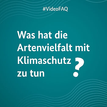 Ein türkises Bild auf dem die Frage "Was hat die Artenvielfalt mit Klimaschutz zu tun?" steht.