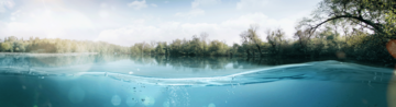 Unterwasseraufnahme eines See