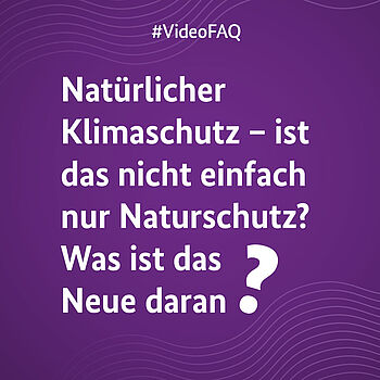 Ein lilanes Bild auf dem die Frage "Natürlicher Klimaschutz - ist das nicht einfach nur Naturschutz? Was ist das Neue daran?" steht.