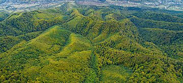 Nationalpark Uzhanskyi in der Ukraine