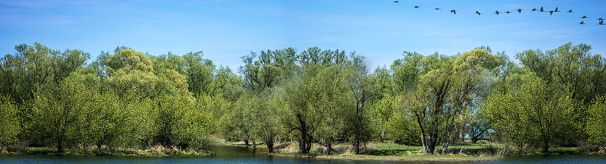 Flusslandschaft im Havelland