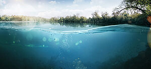 Die Kamera ist halb unter Wasser. Man sieht den blauen See und das grüne Ufer.