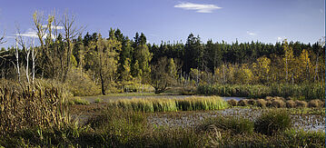 Moorlandschaft