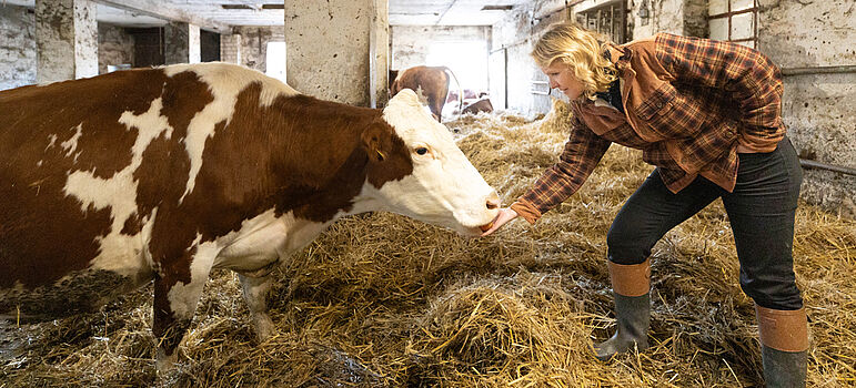 Steffi Lemke und eine Kuh im Stall