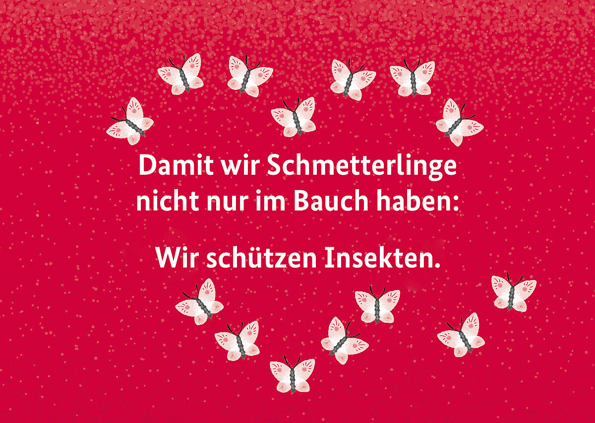 Ein Herz aus Schmetterlingen: Damit wir Schmetterlinge nicht nur im Bauch haben: Wir schützen Insekten